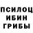 Псилоцибиновые грибы GOLDEN TEACHER @nastasya_gingertail