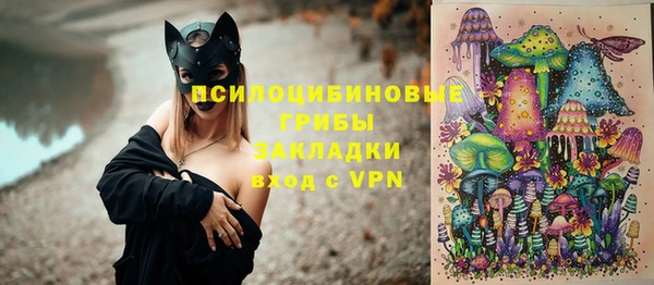 крисы Алексин