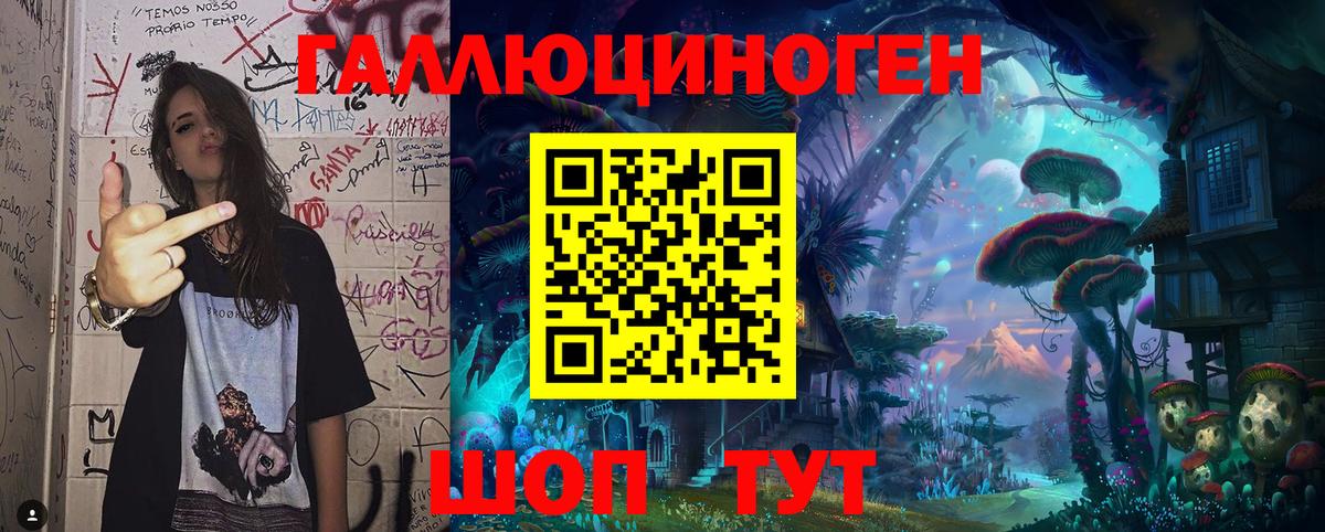 Псилоцибиновые грибы Cubensis Старая Купавна