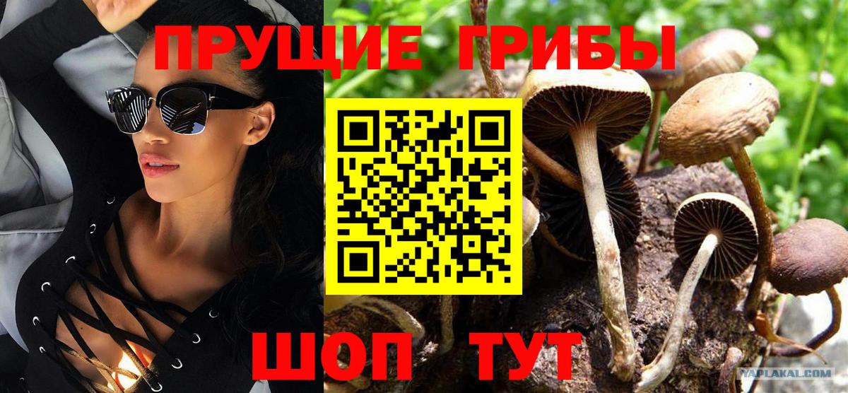 Старая Купавна  Псилоцибиновые грибы ЛСД  Вход с VPN 